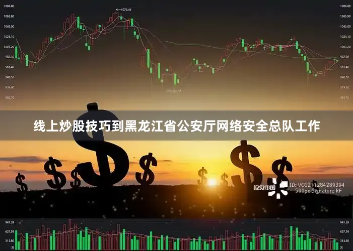 线上炒股技巧到黑龙江省公安厅网络安全总队工作
