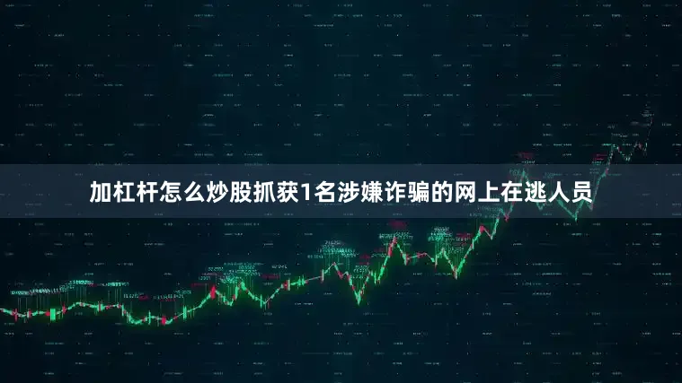 加杠杆怎么炒股抓获1名涉嫌诈骗的网上在逃人员