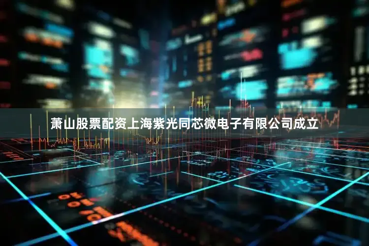 萧山股票配资上海紫光同芯微电子有限公司成立