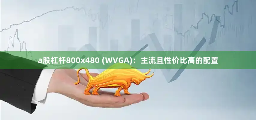 a股杠杆800x480 (WVGA)：主流且性价比高的配置