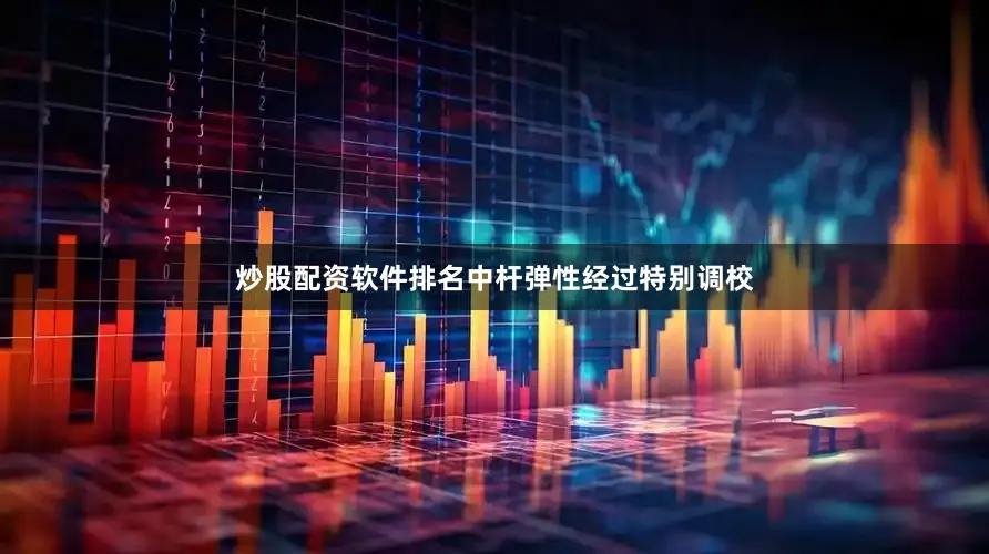 炒股配资软件排名中杆弹性经过特别调校