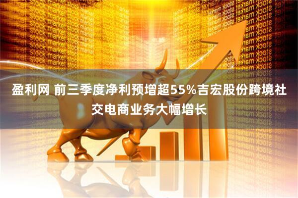 盈利网 前三季度净利预增超55%吉宏股份跨境社交电商业务大幅增长